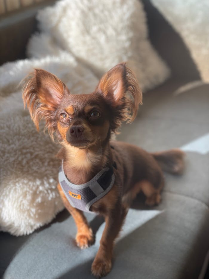 services-01 pexels-photo-33507332.jpeg